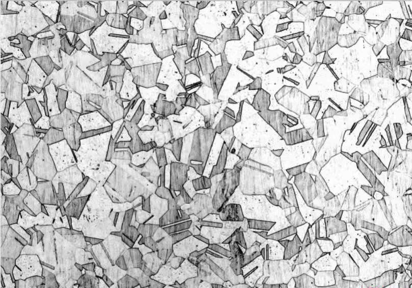 不锈钢王水侵蚀后金相图