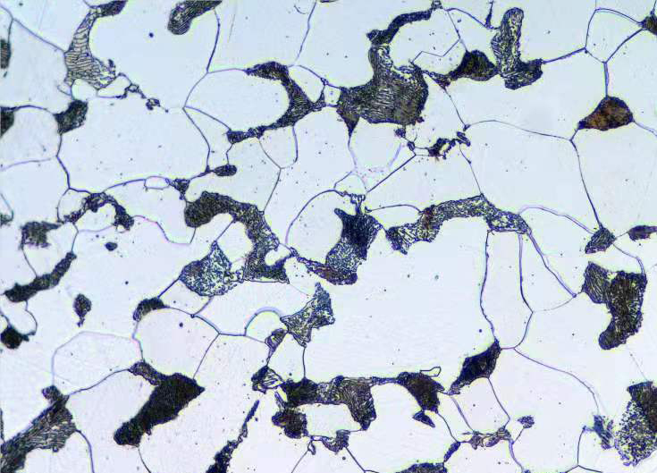低碳钢硝酸侵蚀后金相图